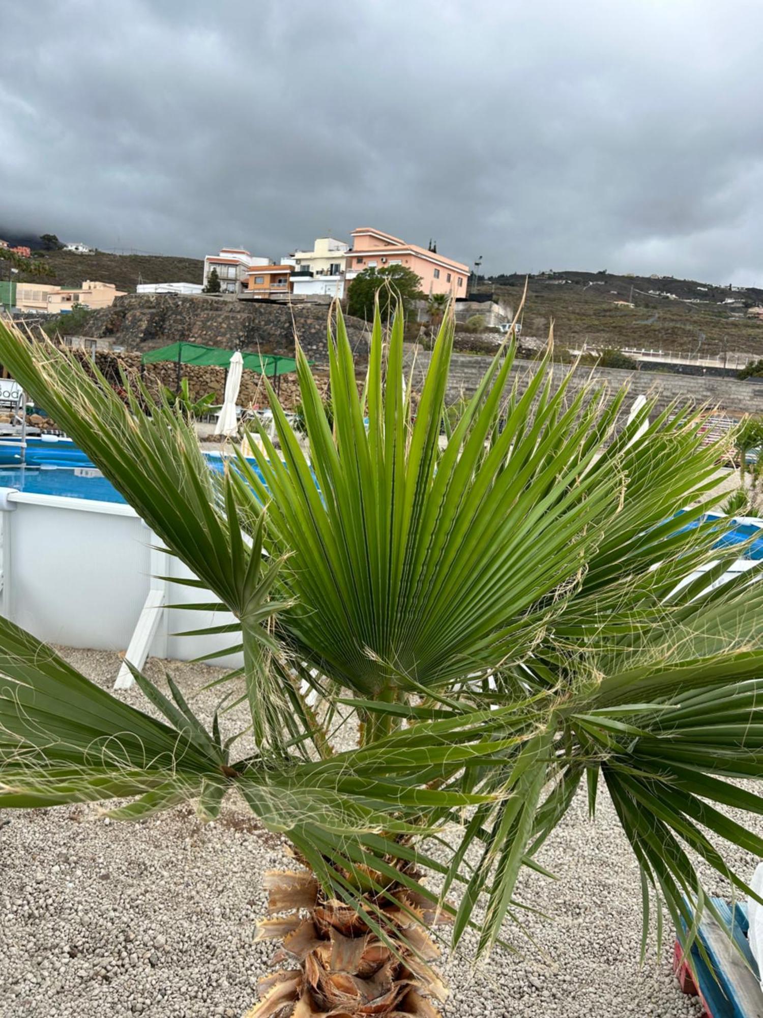 Casa Mirador Apartman Arona  Kültér fotó