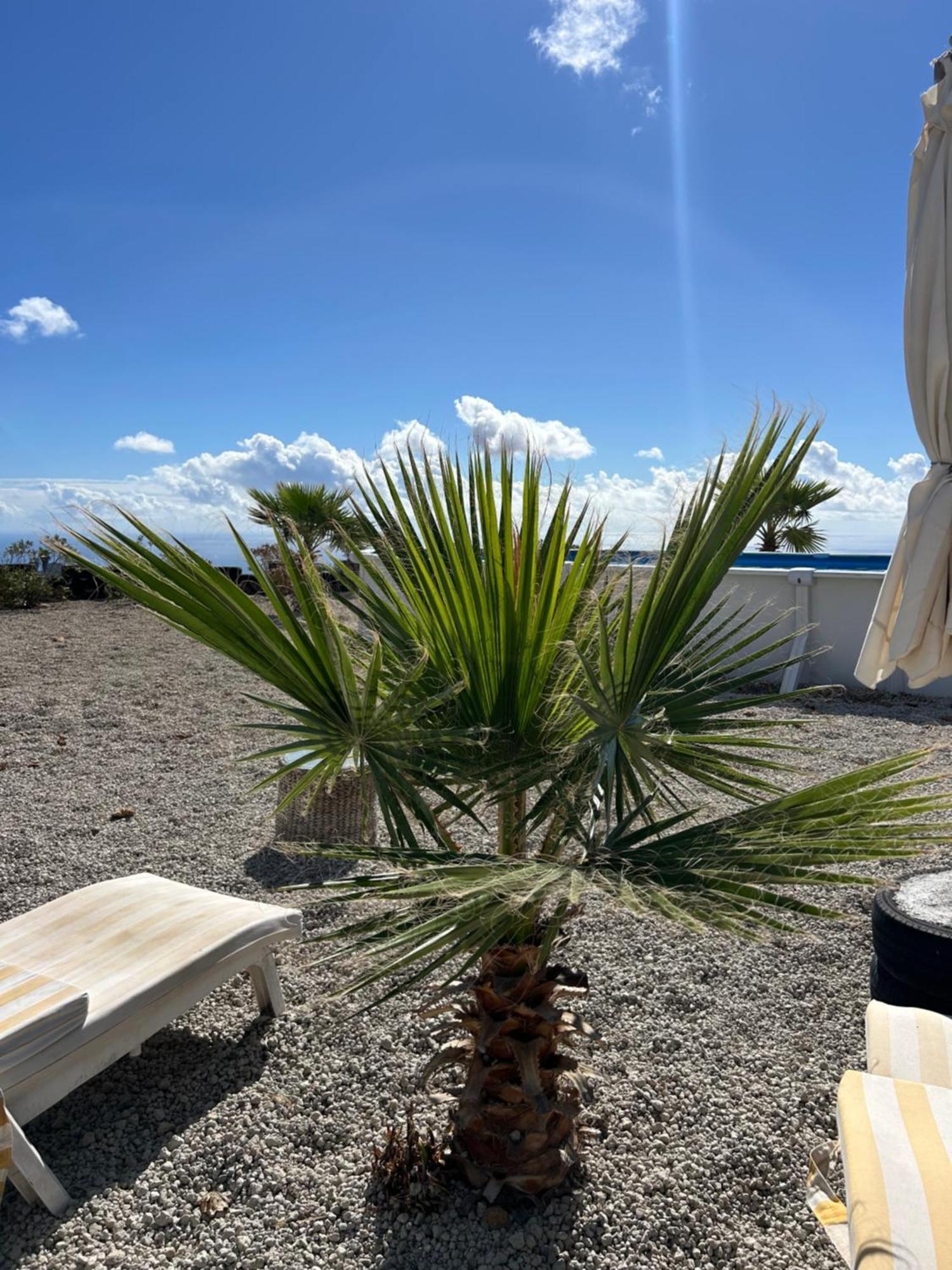 Casa Mirador Apartman Arona  Kültér fotó